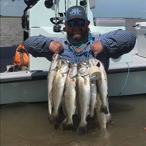 Meet your Posher, Aaron